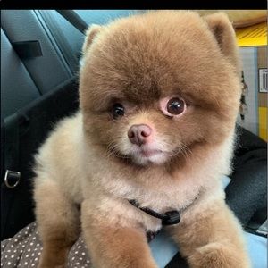 Meet your Posher, Marlen